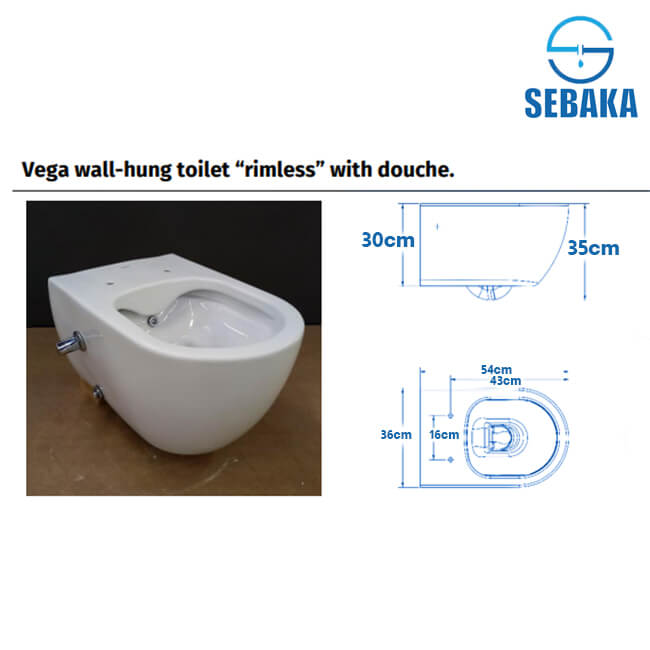 قاعدة مرحاض فيجا اسود معلقة بالدش و المقبض و السيديلي VEGA 250349XX78 ساني بيور - SANIPURE قاعدة مرحاض فيجا معلقة بالدش و المقبض و السيديلي VEGA 250349XX78 ساني بيور - SANIPURE