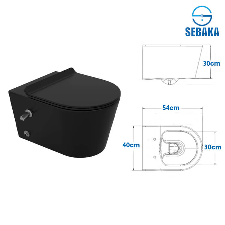 قاعدة مرحاض تايتن اسود معلقة بالدش و المقبض و السيديلي Titan 254249XX75 ساني بيور - SANIPURE (طلب مسبق) قاعدة مرحاض تايتن اسود معلقة بالدش و المقبض و السيديلي Titan 254249XX75 ساني بيور - SANIPURE
