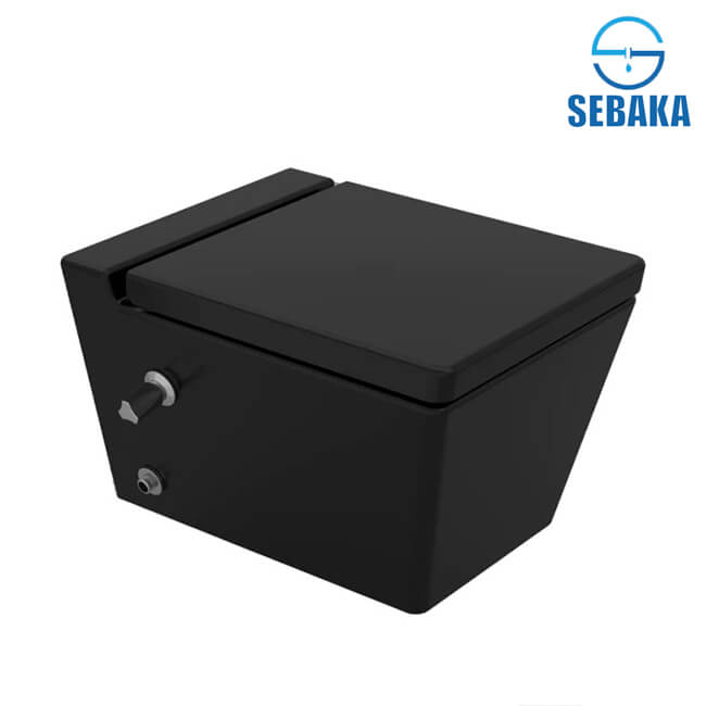 قاعدة مرحاض كيبلر اسود معلقة بالدش و المقبض و السيديلي Kebler 256149XX75 ساني بيور - SANIPURE (طلب مسبق) قاعدة مرحاض كيبلر اسود معلقة بالدش و المقبض و السيديلي Kebler 256149XX75 ساني بيور - SANIPURE