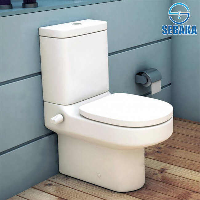 قاعدة مرحاض بلايا J5028/G4925 ملاصق للحائط ايديال ستاندرد IDEAL STANDARD PLAYA قاعدة مرحاض بلايا J5028/G4925 ملاصق للحائط ايديال ستاندرد IDEAL STANDARD PLAYA