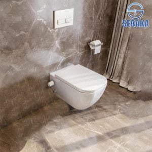 قاعدة مرحاض ماجنوس معلقة بالدش و المقبض و السيديلي Magnus 250849XX00 ساني بيور - SANIPURE