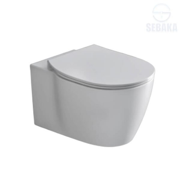 قاعدة مرحاض معلقة كونكت غطاء سليم ذاتي الغلق لون ابيض من ايديال ستاندرد G785101 IdealStandard Connect