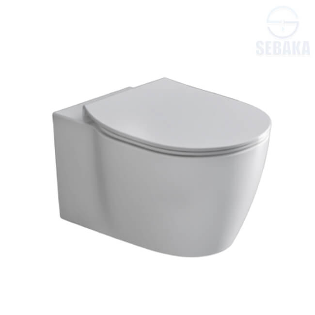 قاعدة مرحاض معلقة كونكت غطاء سليم ذاتي الغلق لون ابيض من ايديال ستاندرد G785101 IdealStandard Connect قاعدة مرحاض معلقة كونكت غطاء سليم ذاتي الغلق لون ابيض من ايديال ستاندرد G785101 IdealStandard Connect